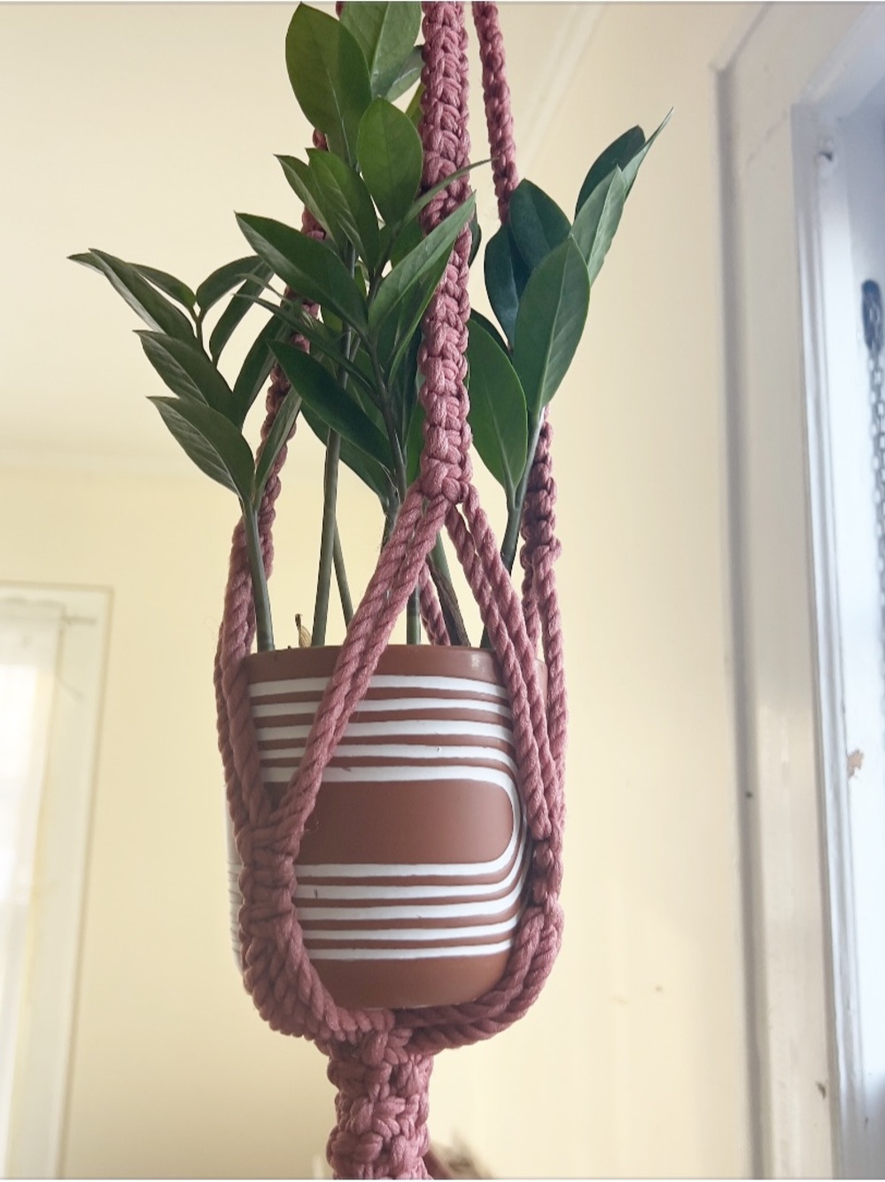 Vintage Macramé Plant Hanger